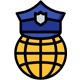 Professional Copyright Registration